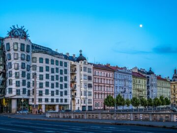 sfaturi pentru casa si gradina