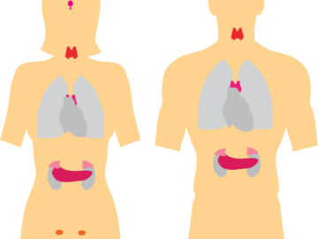 sfaturi 5 tratament naturist tiroida