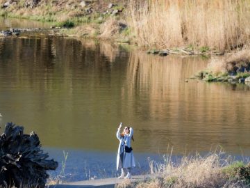 remedii naturiste pt durerea de cap la copii