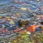 remedii naturiste pentru reflux gastroesofagian